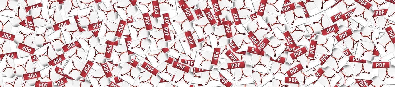 pdf file